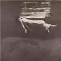 Bill Evans & Jim Hall Undercurrent