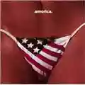 The Black Crowes Amorica