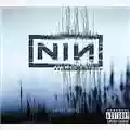 Nine Inch Nails With Teeth