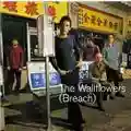 The Wallflowers Breach