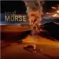 Neal Morse ?