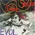 Sonic Youth Evol