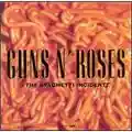 Guns N' Roses The Spaghetti Incident?