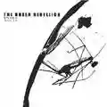 Boxer Rebellion Exits