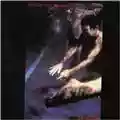 Siouxsie & the Banshees The Scream