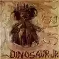 Dinosaur Jr. Bug