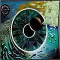 Pink Floyd Pulse