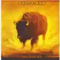 Proto-Kaw Before Became After