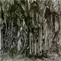 Sunn 0))) Black 1
