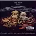 Limp Bizkit Chocolate Starfish And The Hot Dog Flavored Water