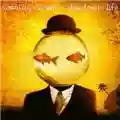 Counting Crows This Desert Life