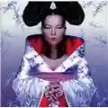 Björk Homogenic