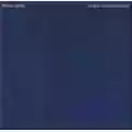 Simple Minds Reel to Real Cacophony