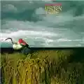 Depeche Mode A Broken Frame