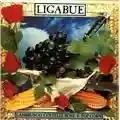 Ligabue Lambrusco, coltelli, rose & popcorn