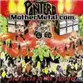 Pantera Projects In The Jungle