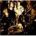 Fields Of The Nephilim Elizium