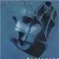 Whipping Boy Heartworm