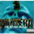 Pantera Far Beyond Driven