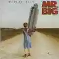 Mr. Big Actual Size