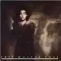 This Mortal Coil It'll End In Tears