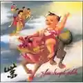 Stone Temple Pilots Purple