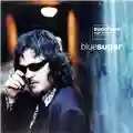 Zucchero Bluesugar