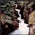 Cat Stevens Back To Earth