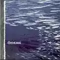 The Ocean Fluxion