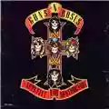 Guns N' Roses Appetite For Destruction