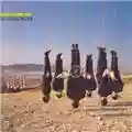 Alan Parsons Try Anything Once