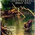 Jerry Cantrell Boggy Depot