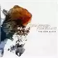 Strapping Young Lad The New Black