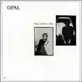 Opal Happy Nightmare Baby