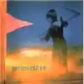 Amon Düül II Yeti