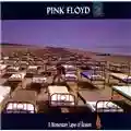 Pink Floyd A Momentary Lapse of Reason