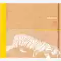 Domotic Ask For Tiger
