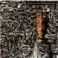 Siouxsie And The Banshees Juju