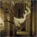 Porcupine Tree Signify