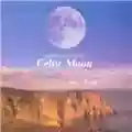 Nobuo Uematsu Final Fantasy IV: Celtic Moon