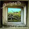 Guillemots Through The Windowspane