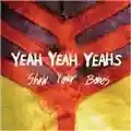 Yeah Yeah Yeahs Show Your Bones