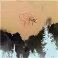 Comets On Fire Avatar