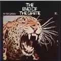 Peter Green The End Of The Game