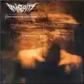 Iniquity Five Across The Eyes