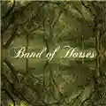 Band Of Horses Everything All The Time