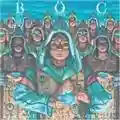 Blue Öyster Cult Fire of Unknown Origin