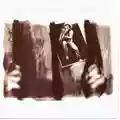 Neil Young & Crazy Horse Life