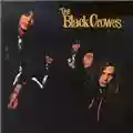 The Black Crowes Shake Your Money Maker