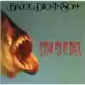 Bruce Dickinson Scream For Me Brazil